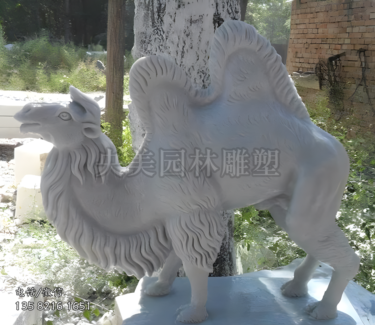 汉白玉赢博手机网页版登录入口骆驼