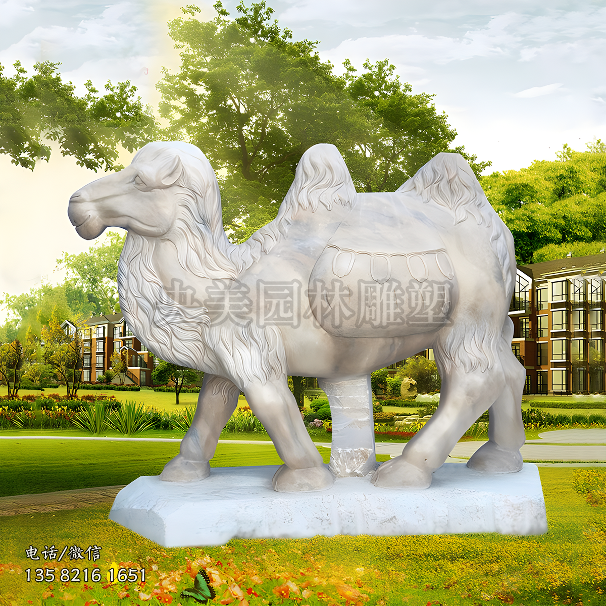 大理石赢博手机网页版登录入口骆驼