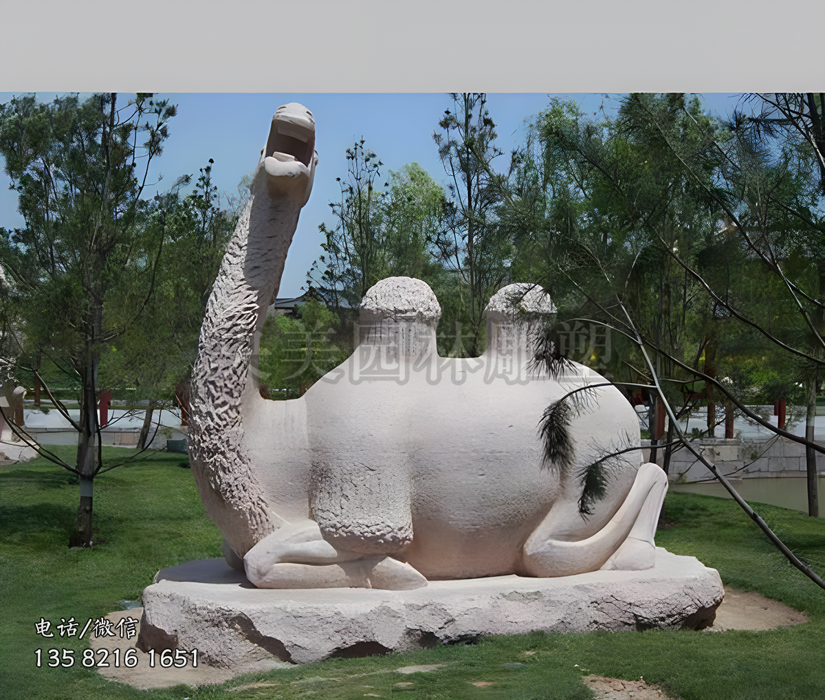 跪地抬头的骆驼赢博手机网页版登录入口