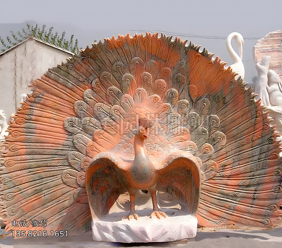 晚霞红赢博手机网页版登录入口孔雀