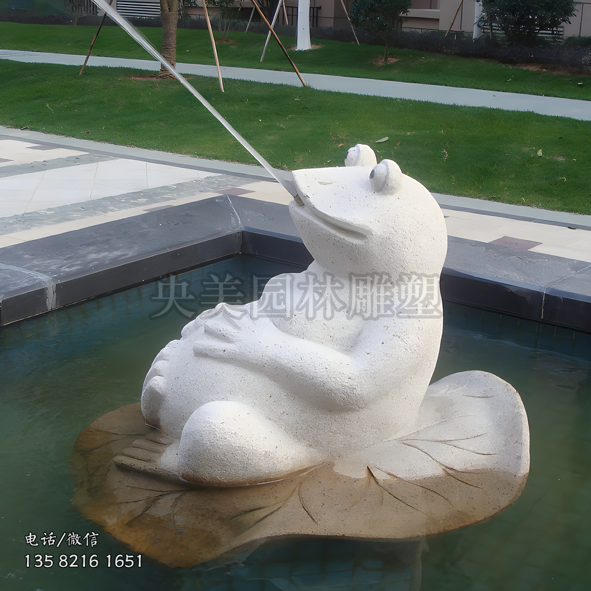 躺荷叶上吐水的赢博手机网页版登录入口青蛙