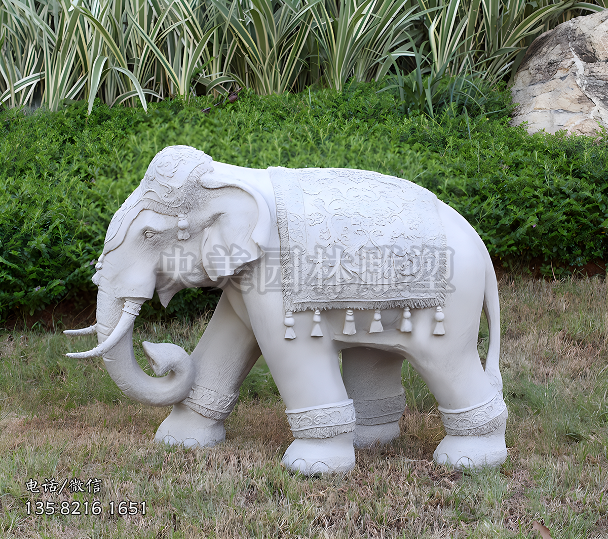 泰式赢博手机网页版登录入口大象