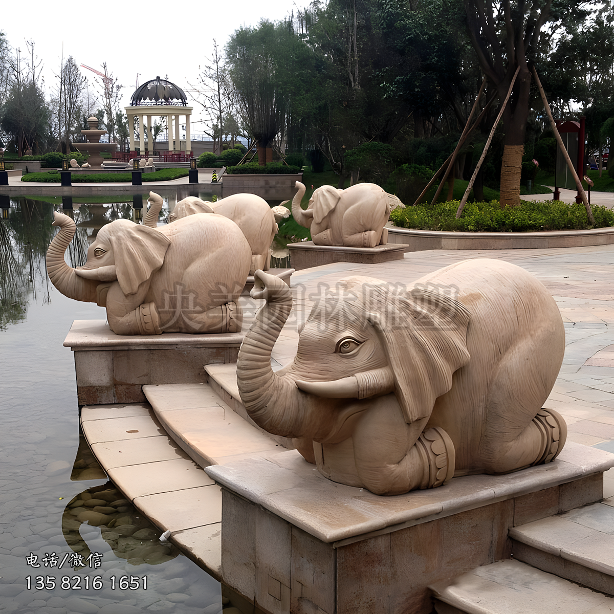 跪姿吐水赢博手机网页版登录入口小象