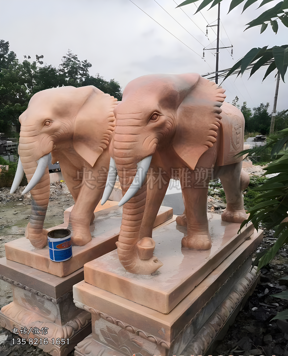 晚霞红大象赢博手机网页版登录入口