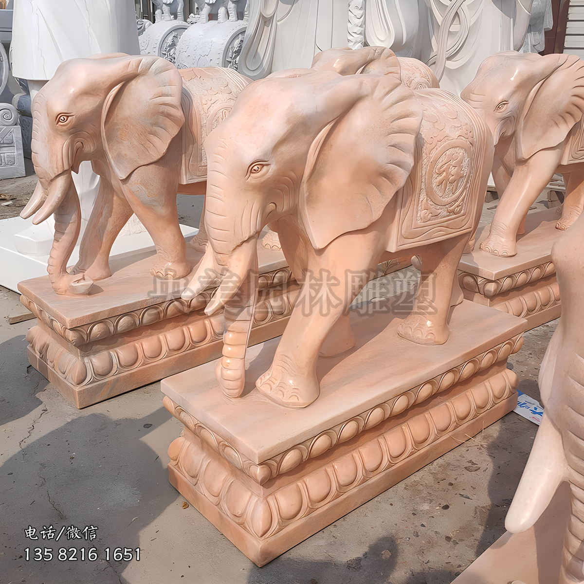 晚霞红大象赢博手机网页版登录入口