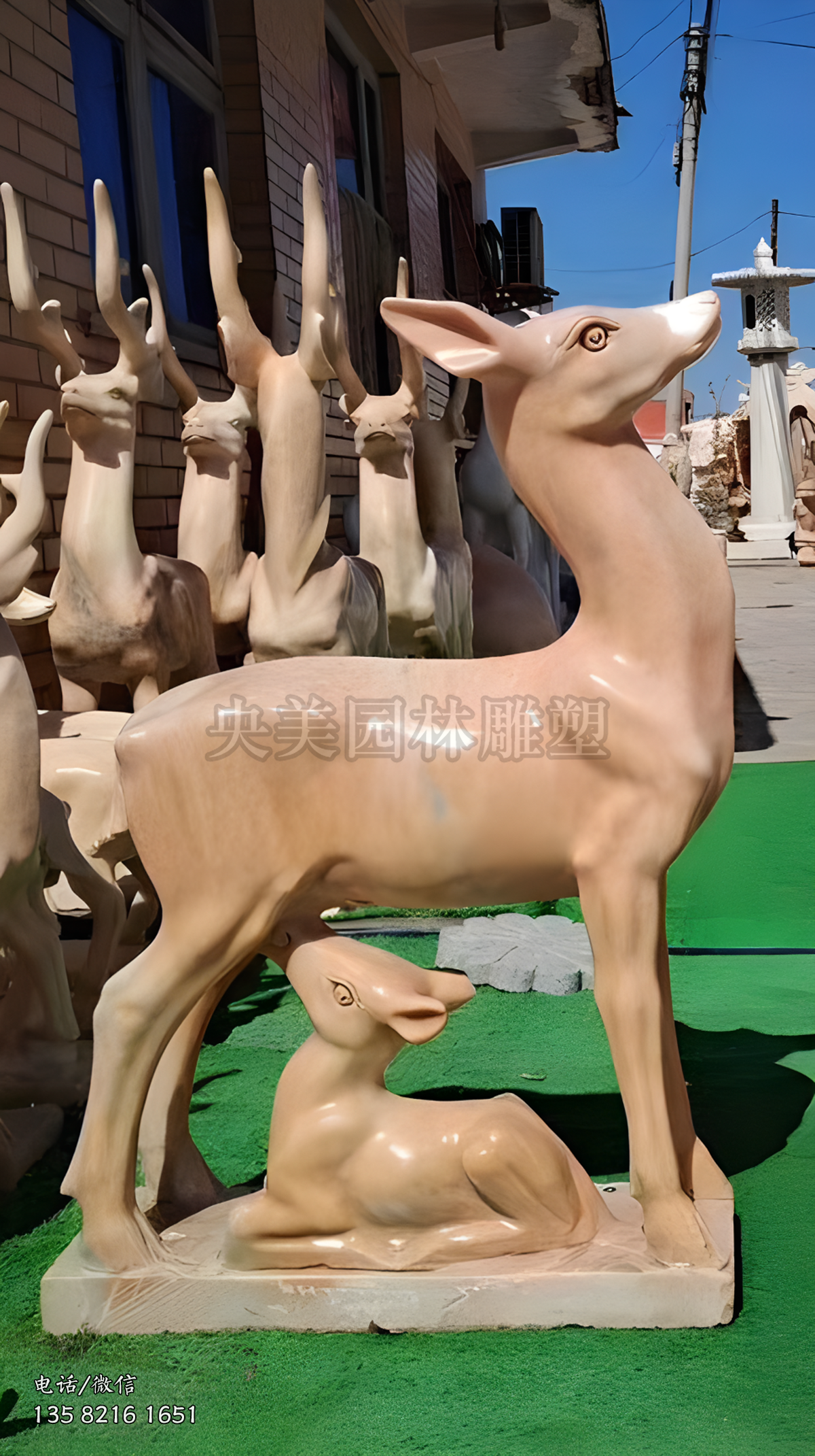 喂奶的梅花鹿（母子鹿）赢博手机网页版登录入口