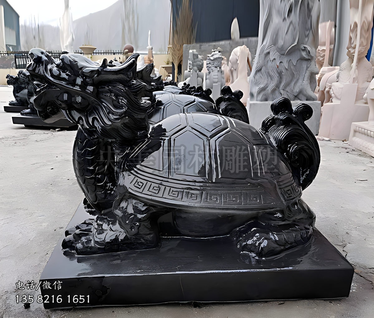 青石赢博手机网页版登录入口龙龟