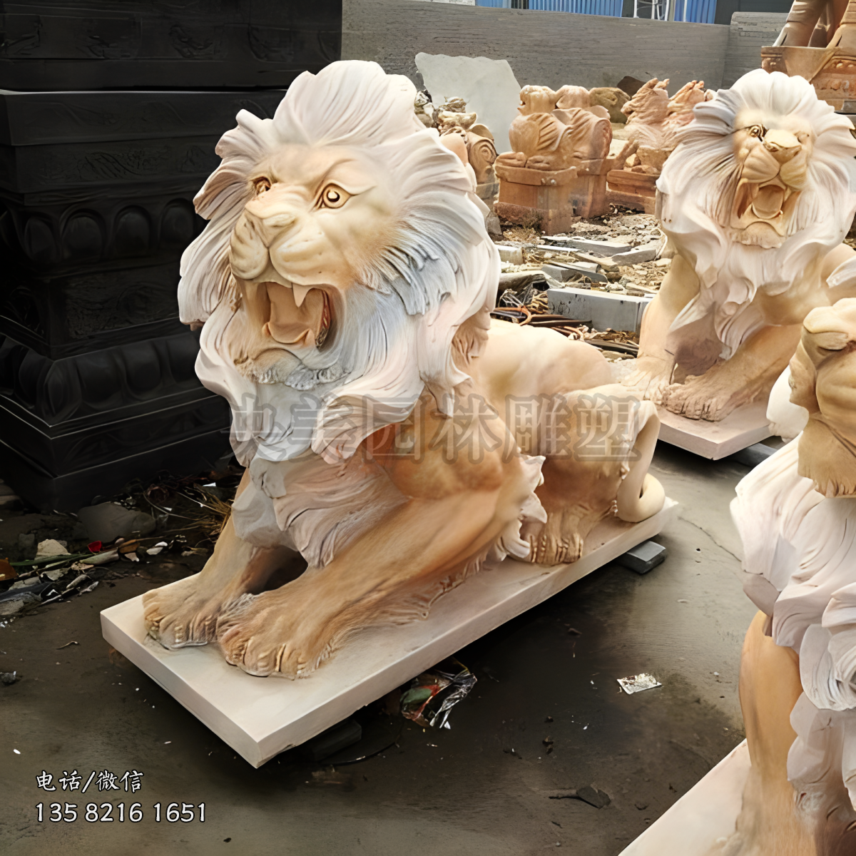 汇丰狮子晚霞红赢博手机网页版登录入口爬狮子