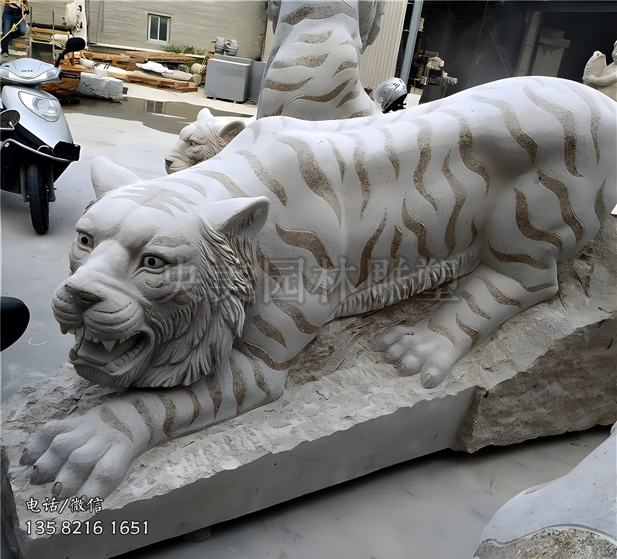 爬地上的老虎赢博手机网页版登录入口