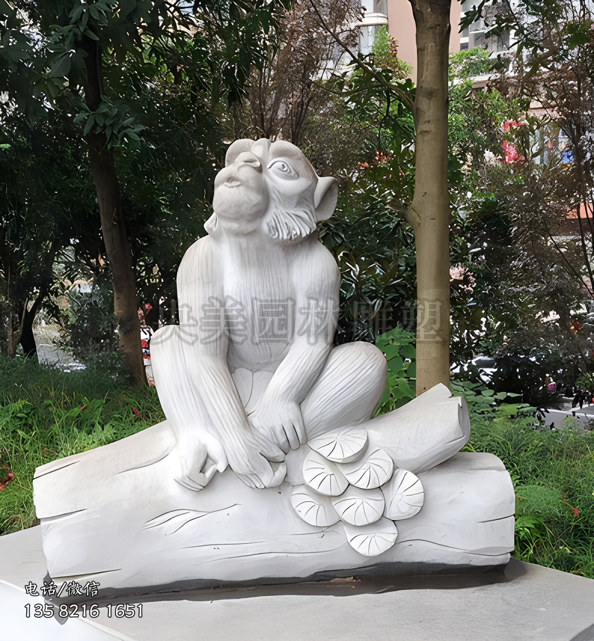 大理石赢博手机网页版登录入口猴子