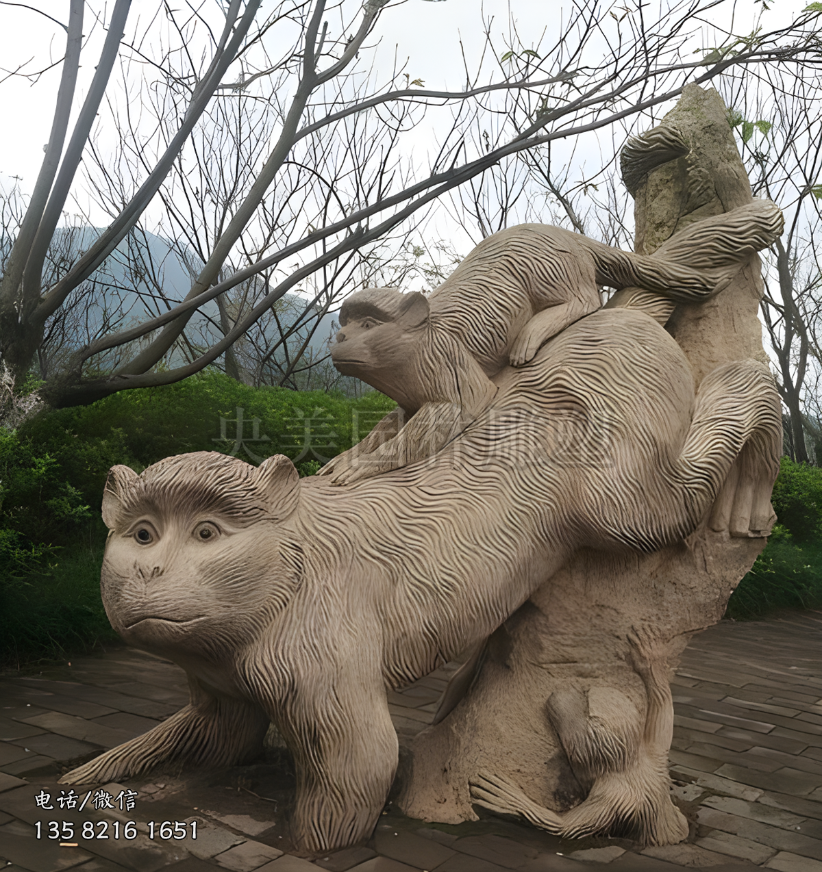 下山猴子景观赢博手机网页版登录入口