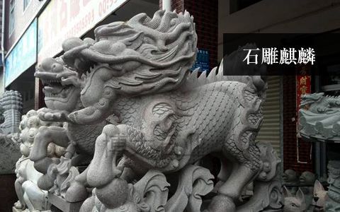 赢博手机网页版登录入口麒麟