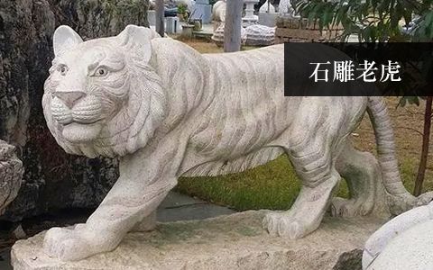 赢博手机网页版登录入口老虎