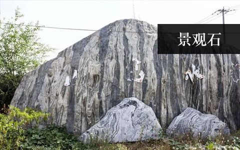 景观赢博手机网页版登录入口塑