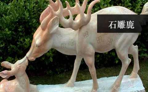 赢博手机网页版登录入口鹿